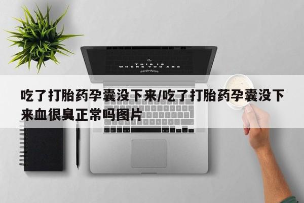 网上哪里买打胎药吃了打胎药孕囊没下来/吃了打胎药孕囊没下来血很臭正常吗图片